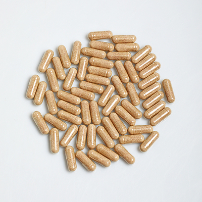 Ginkgo Biloba Capsules Supports Healthy Brain Function And Memory