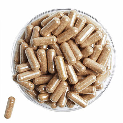 Comprehensive Daily Multivitamin with Optimal Bioavailability - Vitamin & Mineral Formula - Capsules