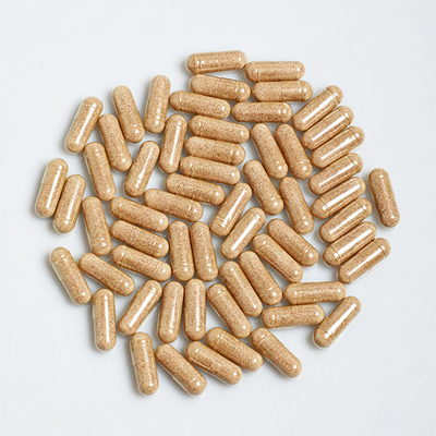 Ginkgo Biloba Extra Capsules Strength Brain Function Memory Support Capsules Manufacturing
